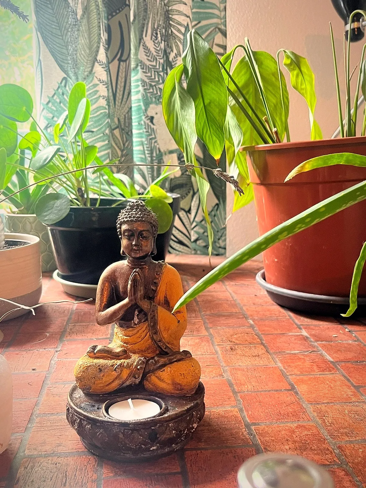 Statuette de Bouddha et plantes — l'ambiance du cabinet By Lou à Hendaye